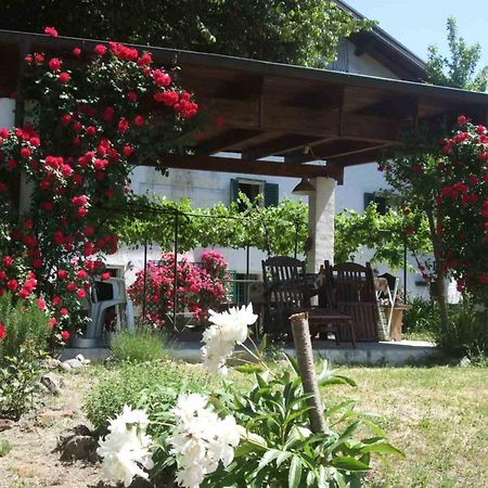 Casa Di Alfredo B&B - Citr9039 Mioglia Ngoại thất bức ảnh